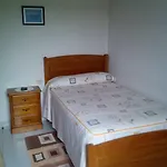 Sequeiros