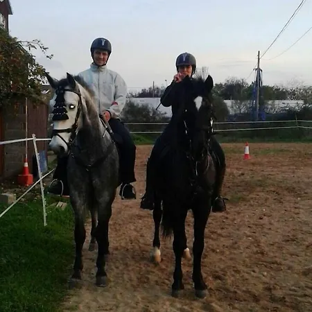 Sequeiros بيت ضيافة 2*