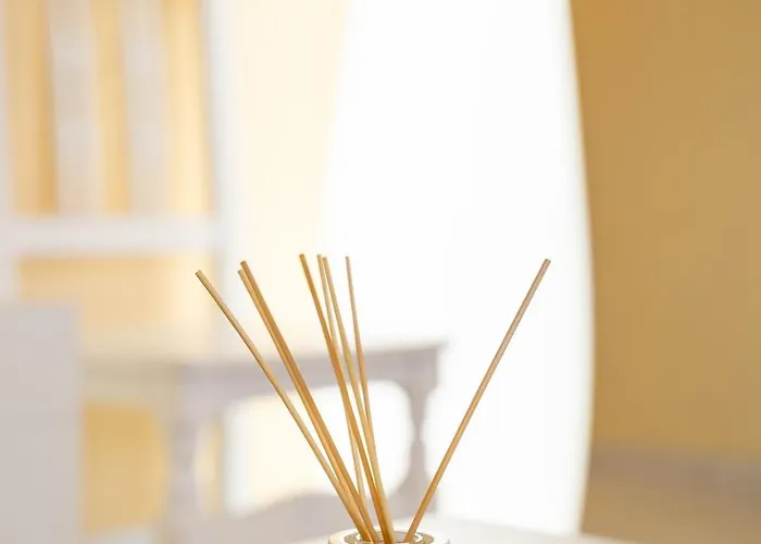 塞凯伊罗斯旅馆 2* San Ciprián de Viñas